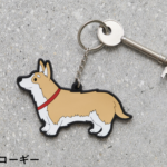 KEY-R