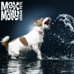 M&M-MTX-LED