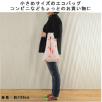 EB-SHIBATA