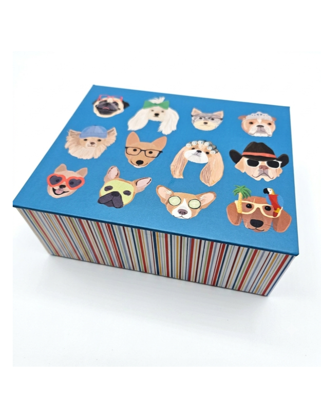 CS-BOX20