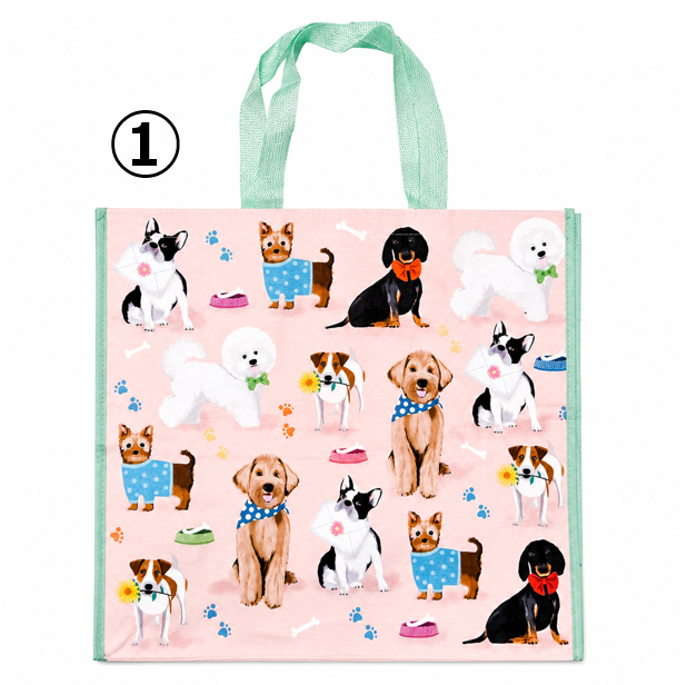ECO-BAG2026
