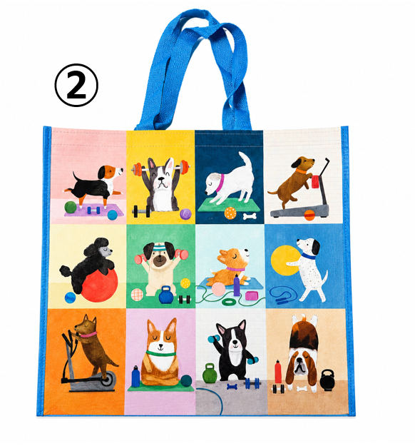 ECO-BAG2026