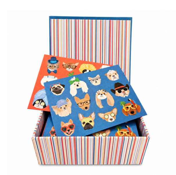CS-BOX20